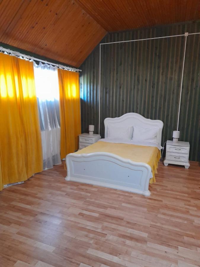 מלון Barlogul Ursilor Lepşa מראה חיצוני תמונה